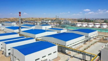 專精特新化工產(chǎn)業(yè)孵化基地項(xiàng)目 (B區(qū))分析檢測(cè)區(qū)一、二標(biāo)段 竣工驗(yàn)收順利通過(guò)